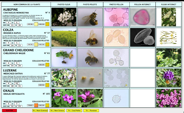 L’attribut alt de cette image est vide, son nom de fichier est fiches-pollen.jpg.