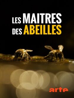 [Reportage] ARTE.TV – Les maîtres des abeilles