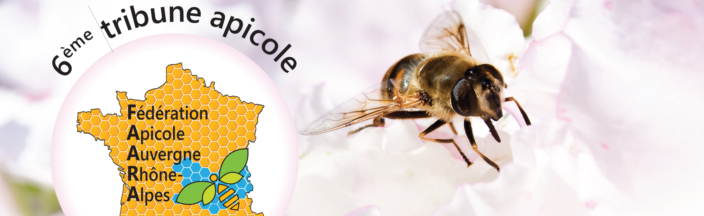 6ème Tribune apicole FAARA à Bourg-en-Bresse – 12/11/2022