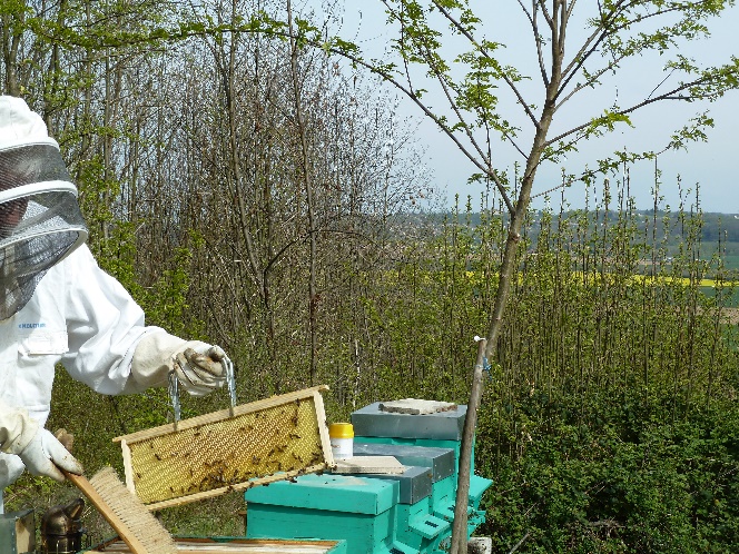 Matériel en apiculture