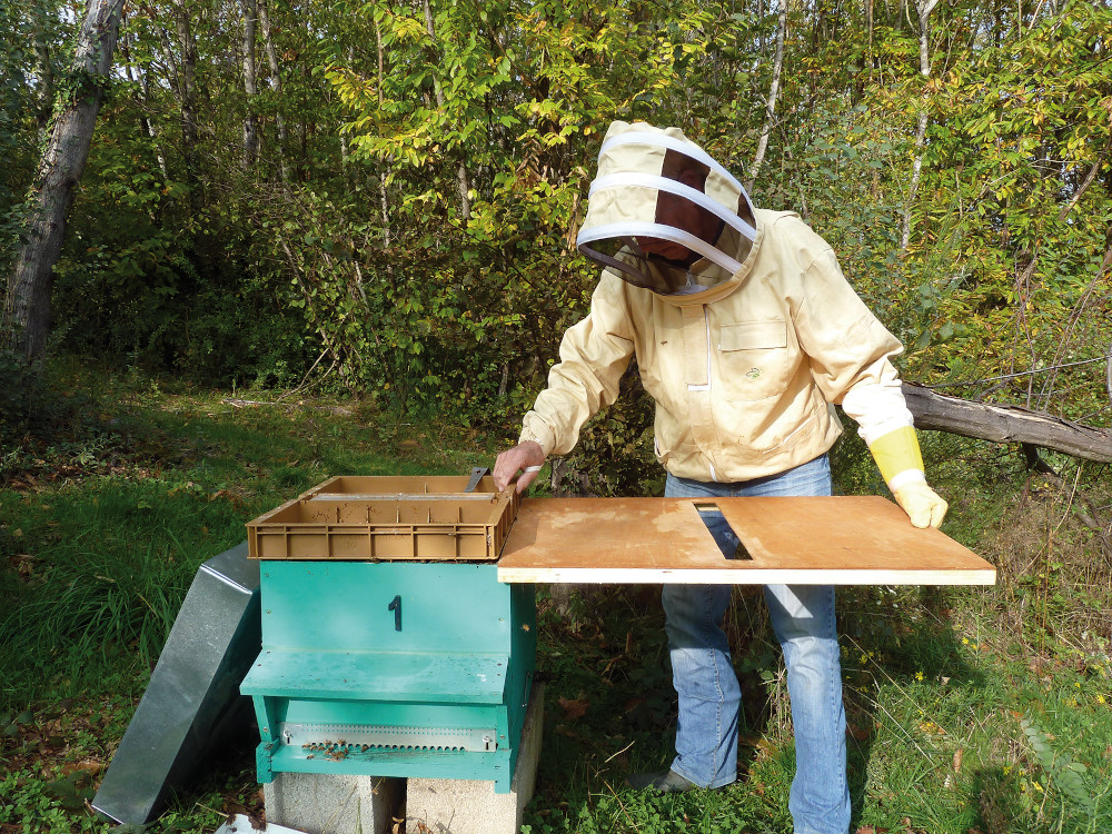Traiter à l'acide oxalique sans ouvrir la ruche – Syndicat d'Apiculture du  Rhône et Région Lyonnaise