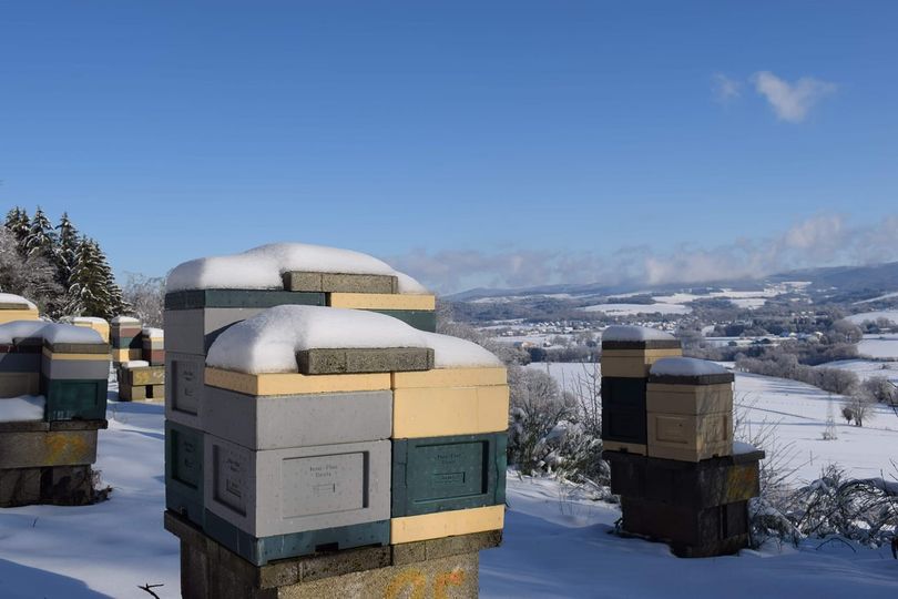 Voyage des apiculteurs en Alsace – septembre 2022