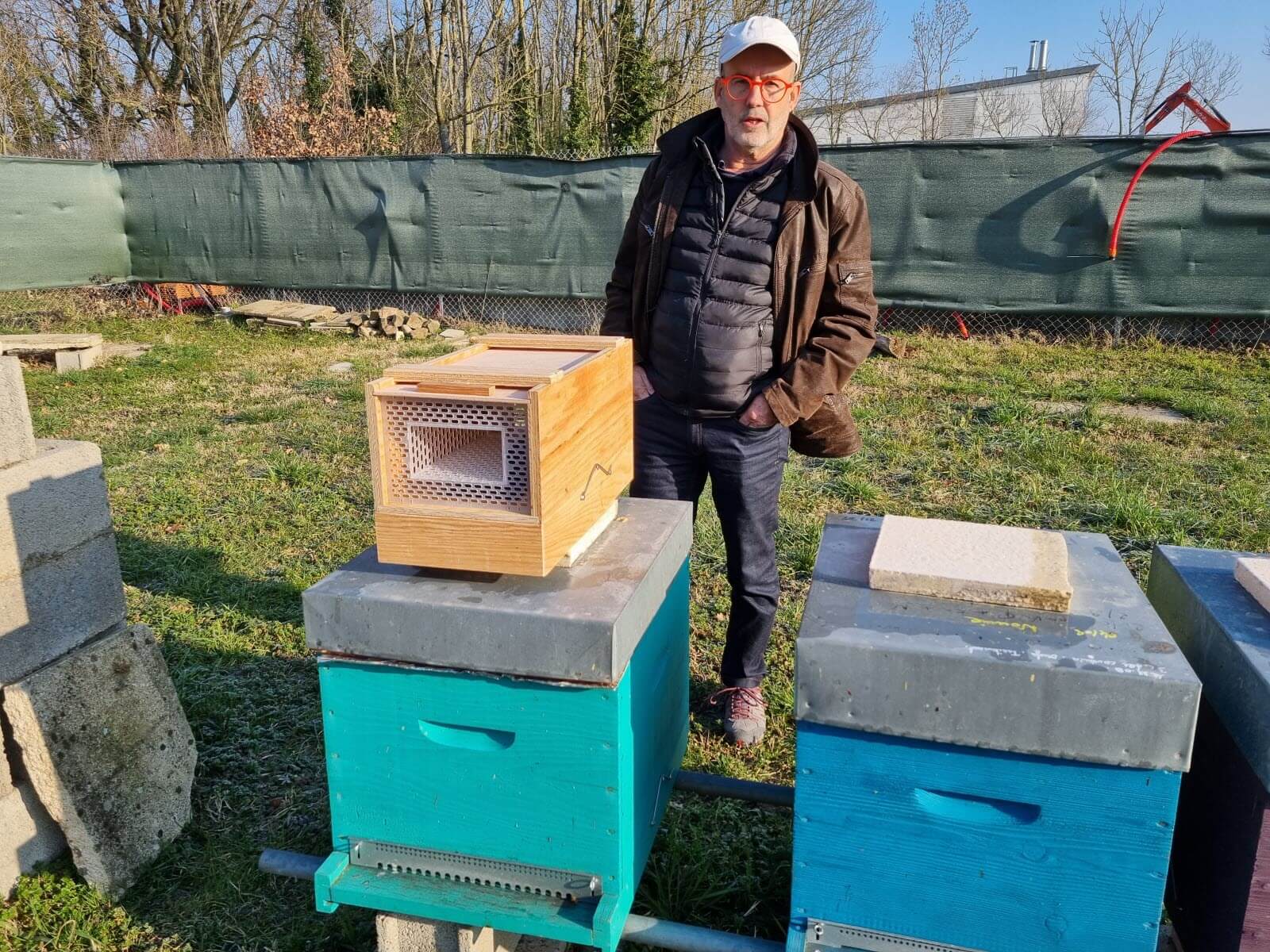 Frelon asiatique : le nouveau piège des apiculteurs du Rhône